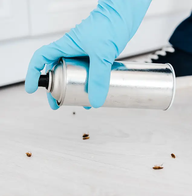 Why Choose Wayne Pest Control Pro for Safe Bed Bug Treatment in Wayne, NJ?