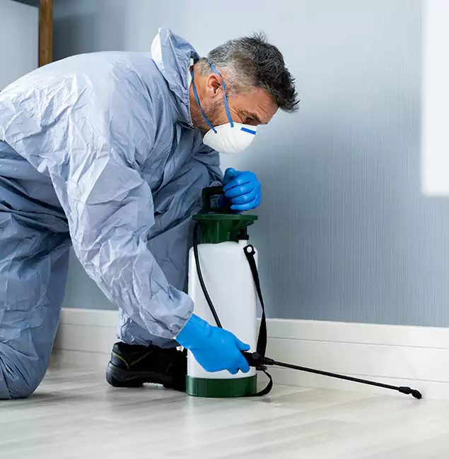 Why Choose Wayne Pest Control Pro for Subterranean Termites Treatment in Wayne, NJ?