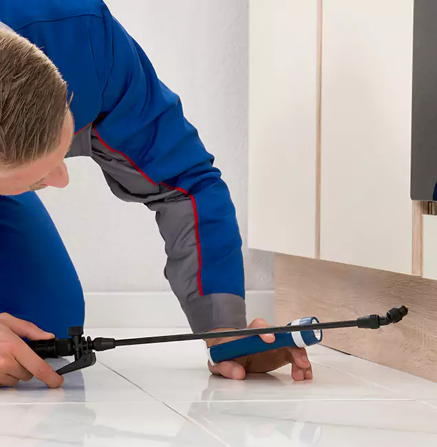 Why Wayne Residents Choose Wayne Pest Control Pro to Get Rid of Sugar Ants?