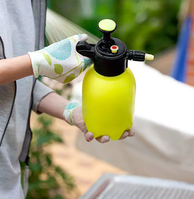 Why Choose Us: Wayne Pest Control Pro Termite Spraying Experts in Wayne, NJ?