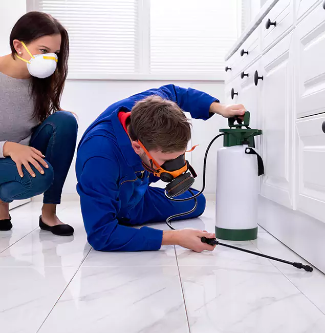 Why Choose Wood Termite Treatment by Wayne Pest Control Pro in Wayne, NJ?