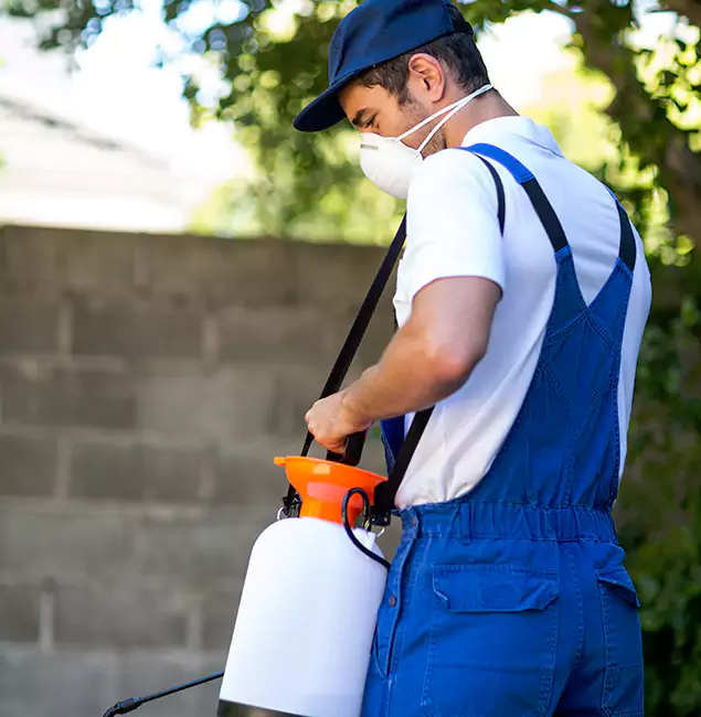 Why Wayne Pest Control Pro Is the Right Choice for Yellow Jacket Removal in Wayne, NJ?