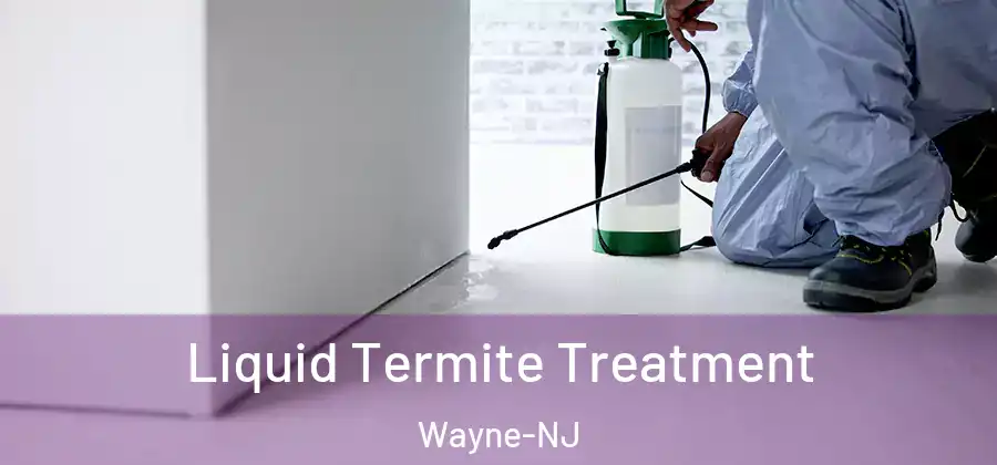 Liquid Termite Treatment Wayne-NJ