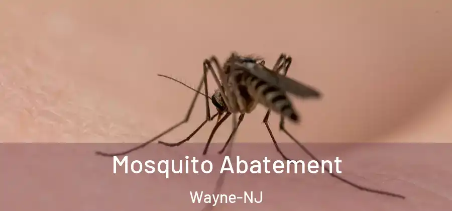 Mosquito Abatement Wayne-NJ