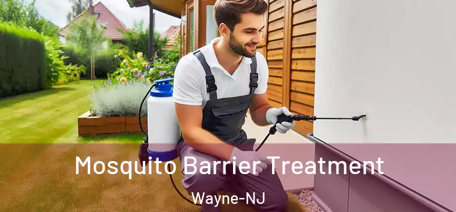  Mosquito Barrier Treatment Wayne-NJ