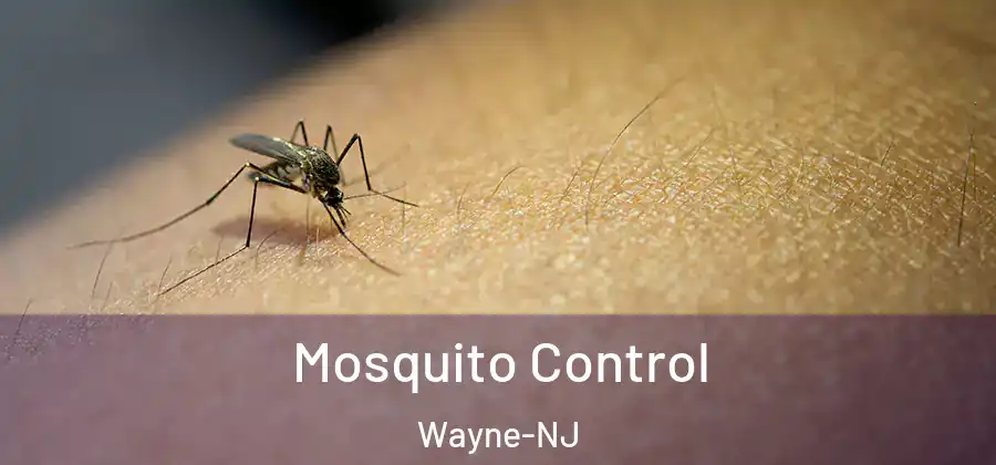 Mosquito Control Wayne-NJ