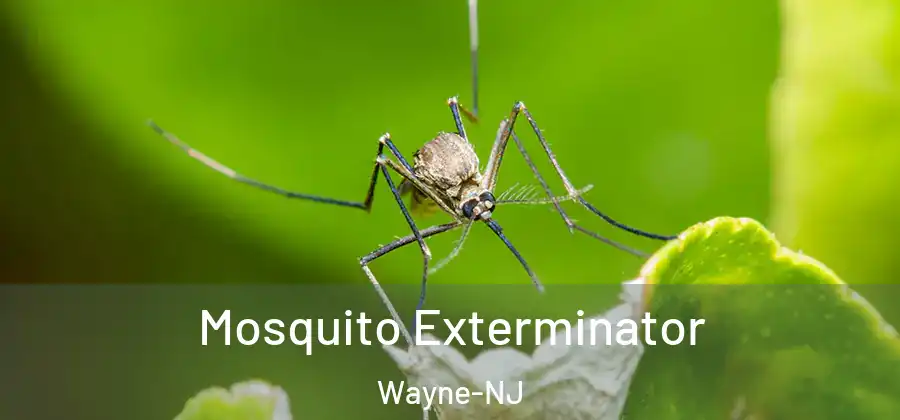 Mosquito Exterminator Wayne-NJ