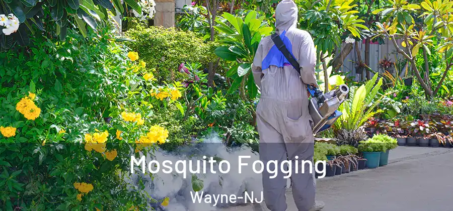  Mosquito Fogging Wayne-NJ