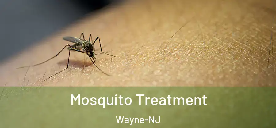 Mosquito Treatment Wayne-NJ