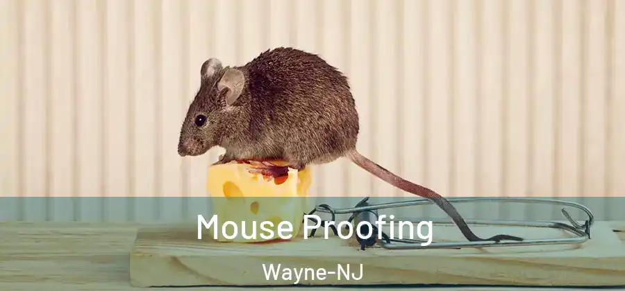 Mouse Proofing Wayne-NJ