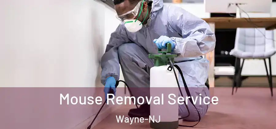  Mouse Removal Service Wayne-NJ