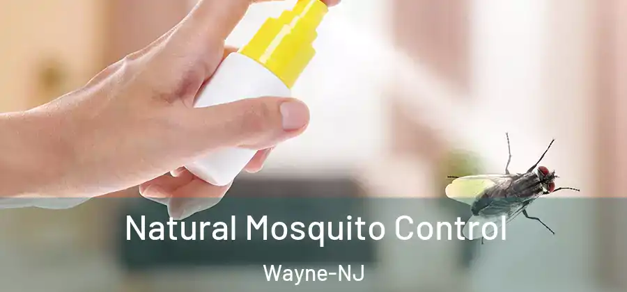 Natural Mosquito Control Wayne-NJ