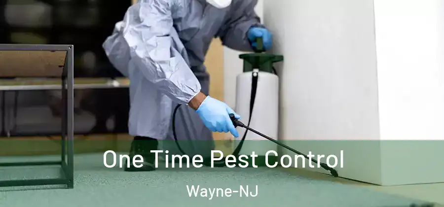  One Time Pest Control Wayne-NJ