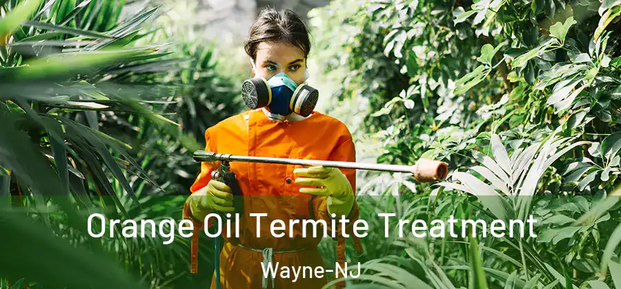  Orange Oil Termite Treatment Wayne-NJ