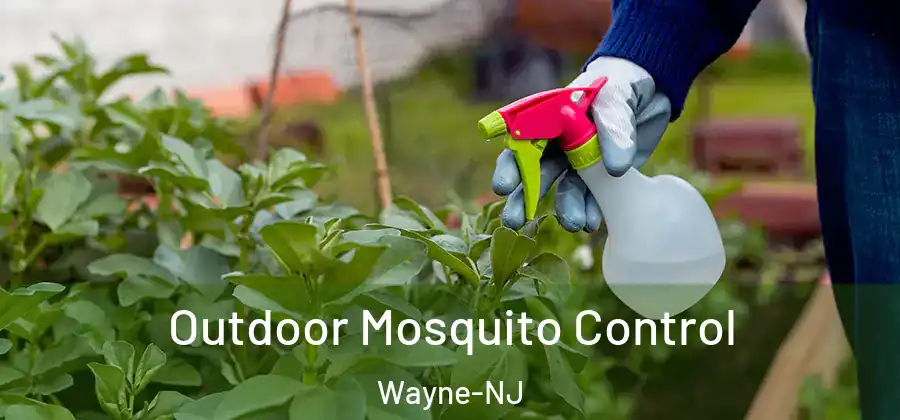 Outdoor Mosquito Control Wayne-NJ