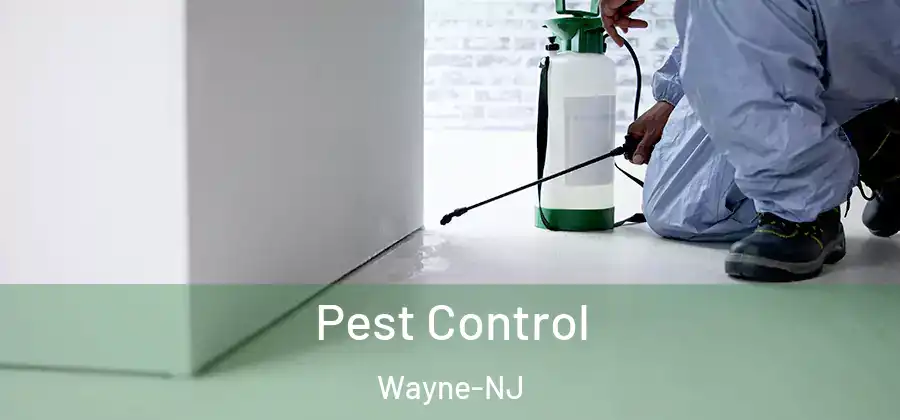 Pest Control Wayne-NJ