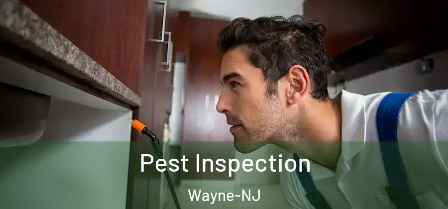  Pest Inspection Wayne-NJ