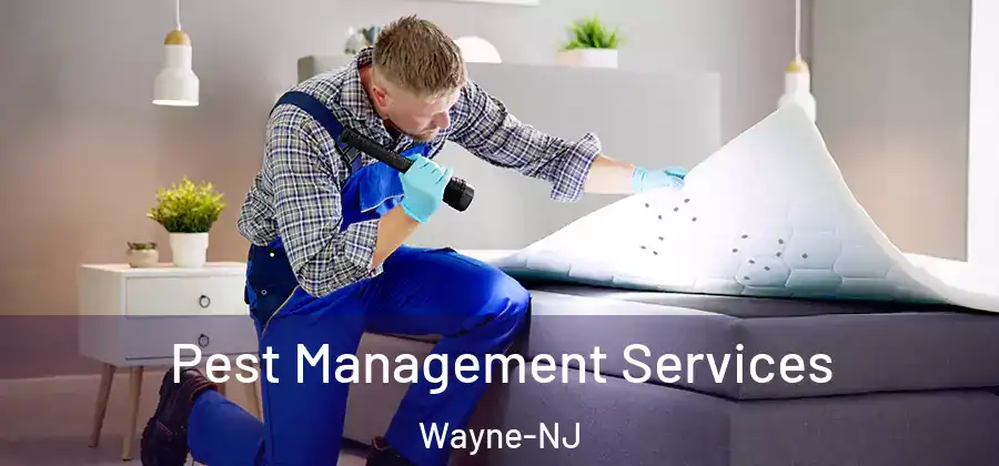 Pest Management Services Wayne-NJ