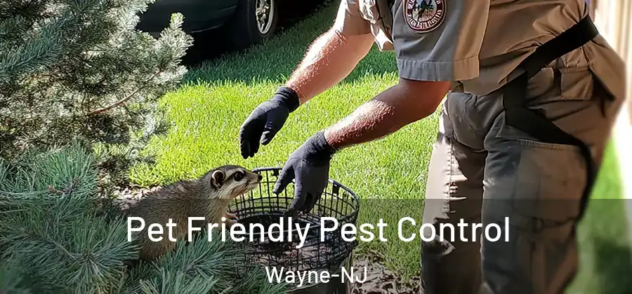 Pet Friendly Pest Control Wayne-NJ