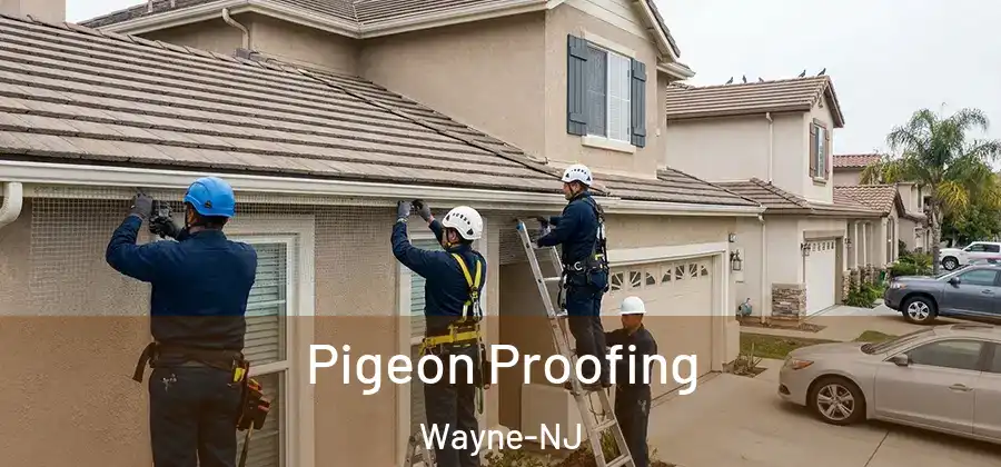 Pigeon Proofing Wayne-NJ