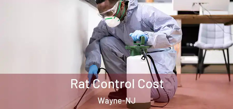  Rat Control Cost Wayne-NJ