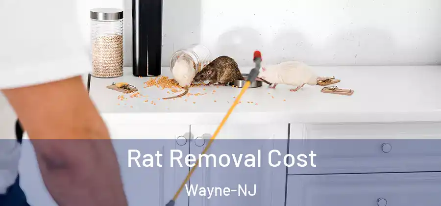  Rat Removal Cost Wayne-NJ