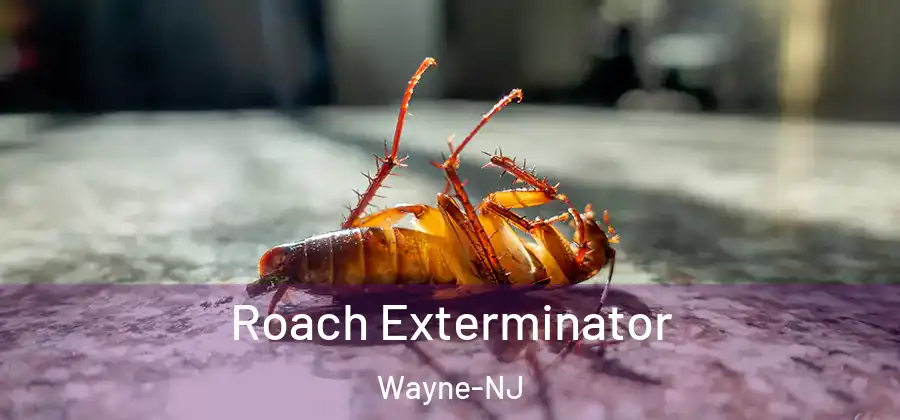 Roach Exterminator Wayne-NJ