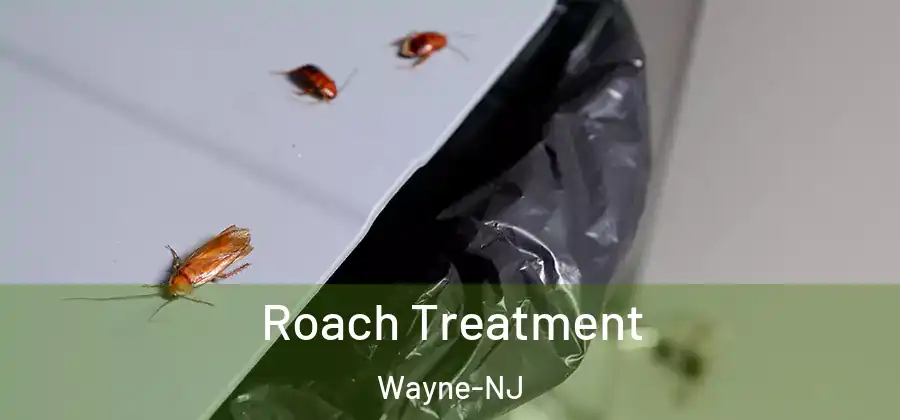 Roach Treatment Wayne-NJ