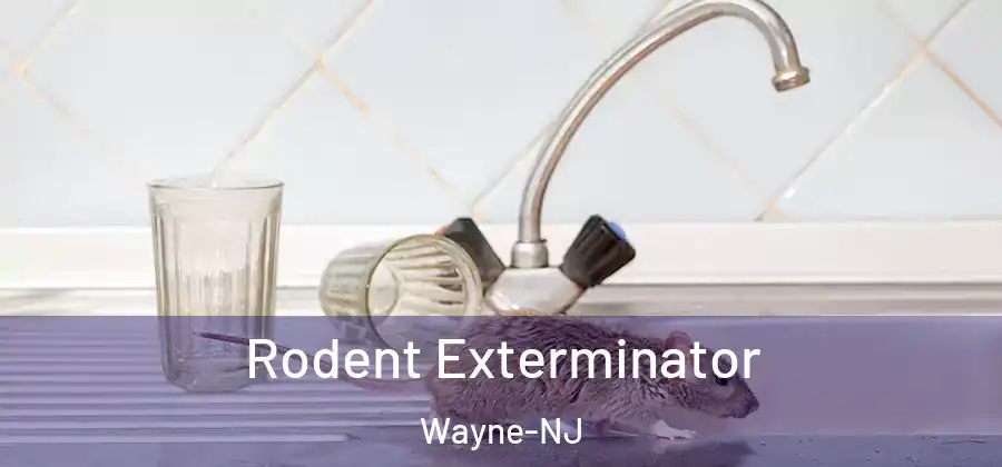  Rodent Exterminator Wayne-NJ