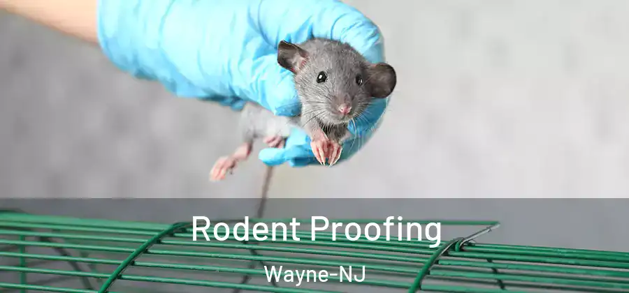  Rodent Proofing Wayne-NJ