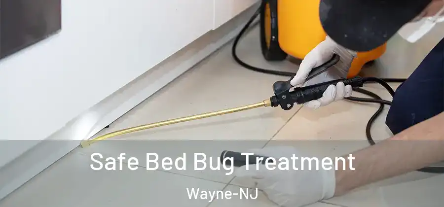 Safe Bed Bug Treatment Wayne-NJ