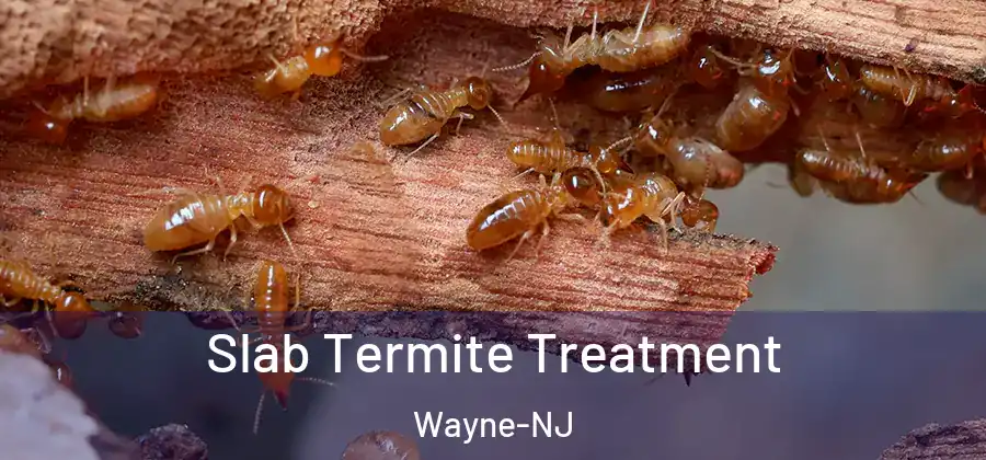 Slab Termite Treatment Wayne-NJ