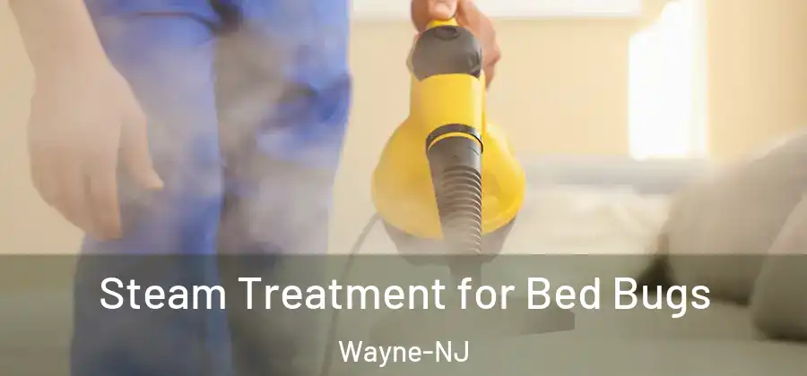  Steam Treatment for Bed Bugs Wayne-NJ