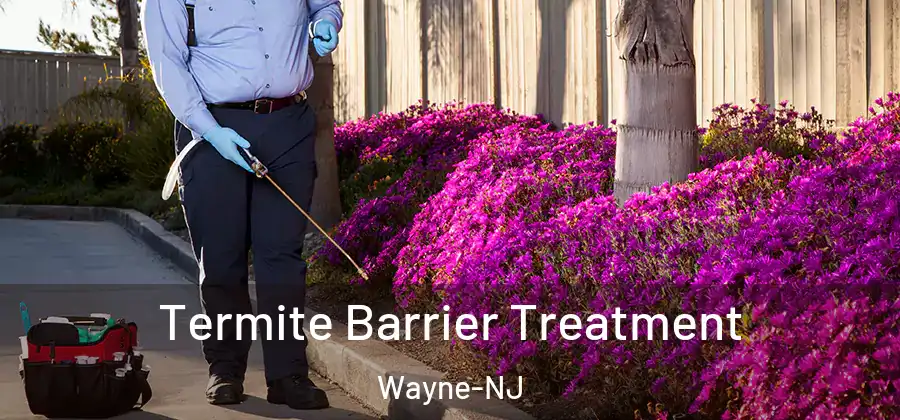 Termite Barrier Treatment Wayne-NJ