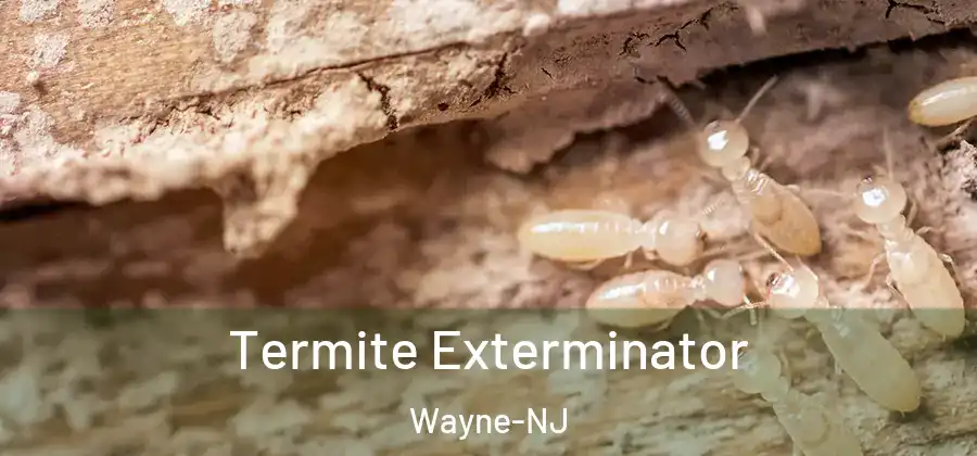 Termite Exterminator Wayne-NJ