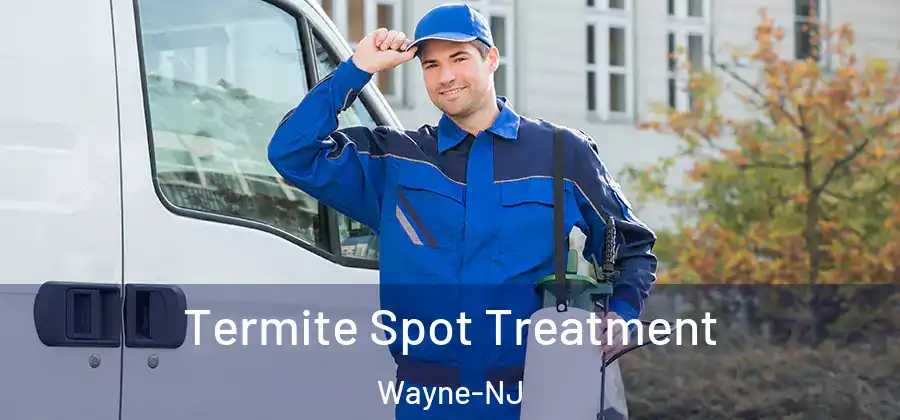 Termite Spot Treatment Wayne-NJ