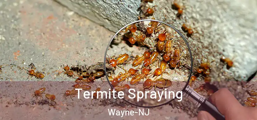 Termite Spraying Wayne-NJ