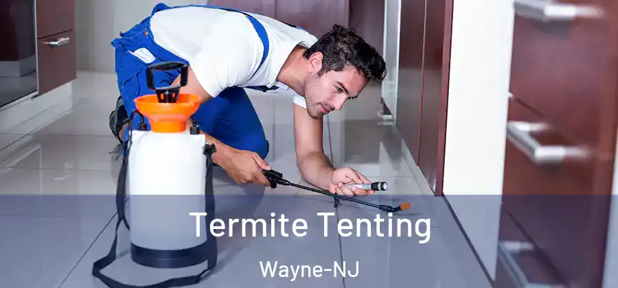  Termite Tenting Wayne-NJ