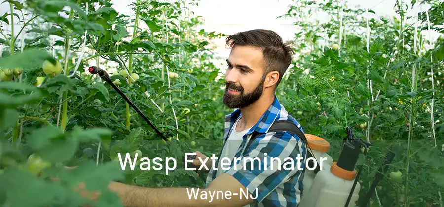 Wasp Exterminator Wayne-NJ